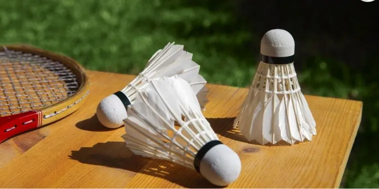 Hướng Dẫn Cách Chơi Cá Cược Cầu Lông Tại EE88 Nhận Ngay Tiền Thưởng Khủng