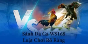 Cách Chơi Đá Gà WS168 Tại EE88 Giúp Kê Thủ Luôn Giành Thắng Lợi